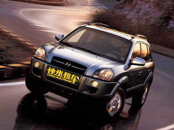 神州租车进军汽车租赁市场 开启中国出行新篇章